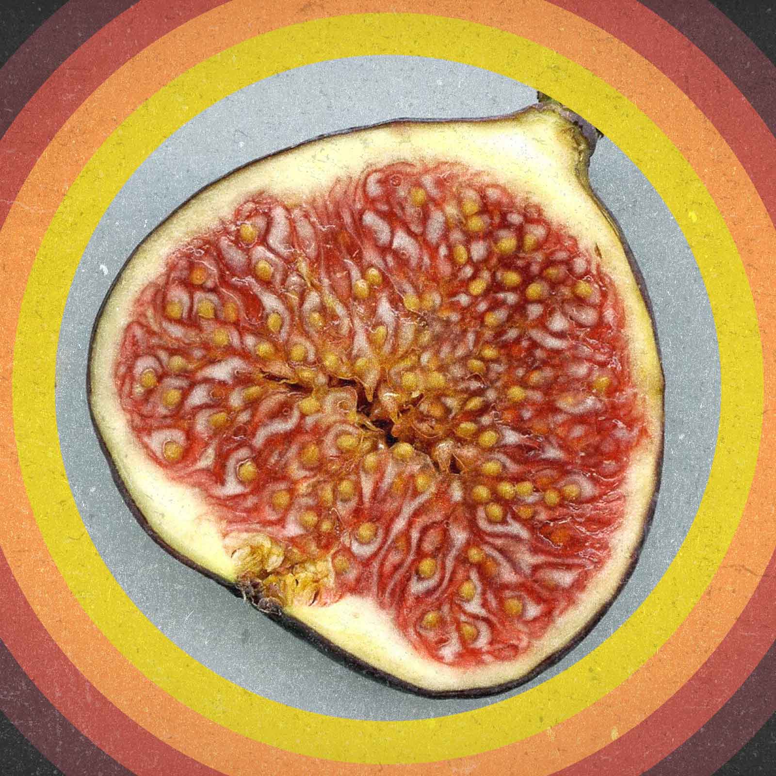 Fiffig