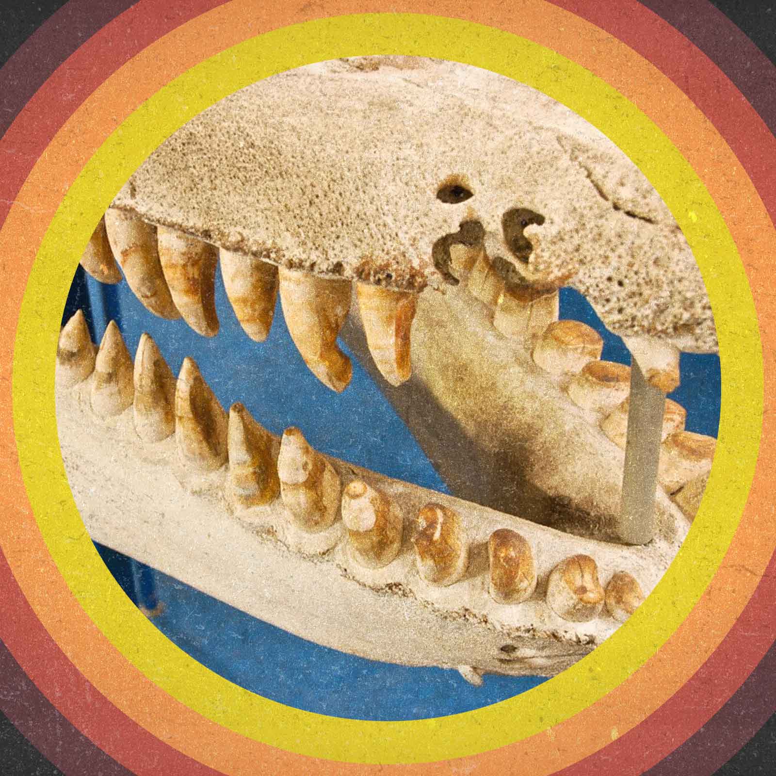 Fiffig